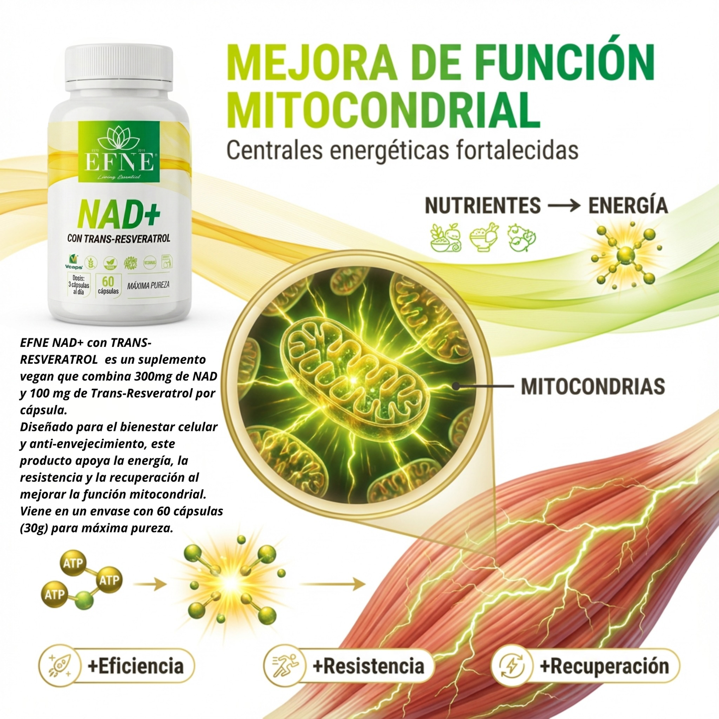 Efne Nad Con Trans-resveratrol: El Activador De Longevidad Para Quienes Viven Al Máximo Después De Los 40_1