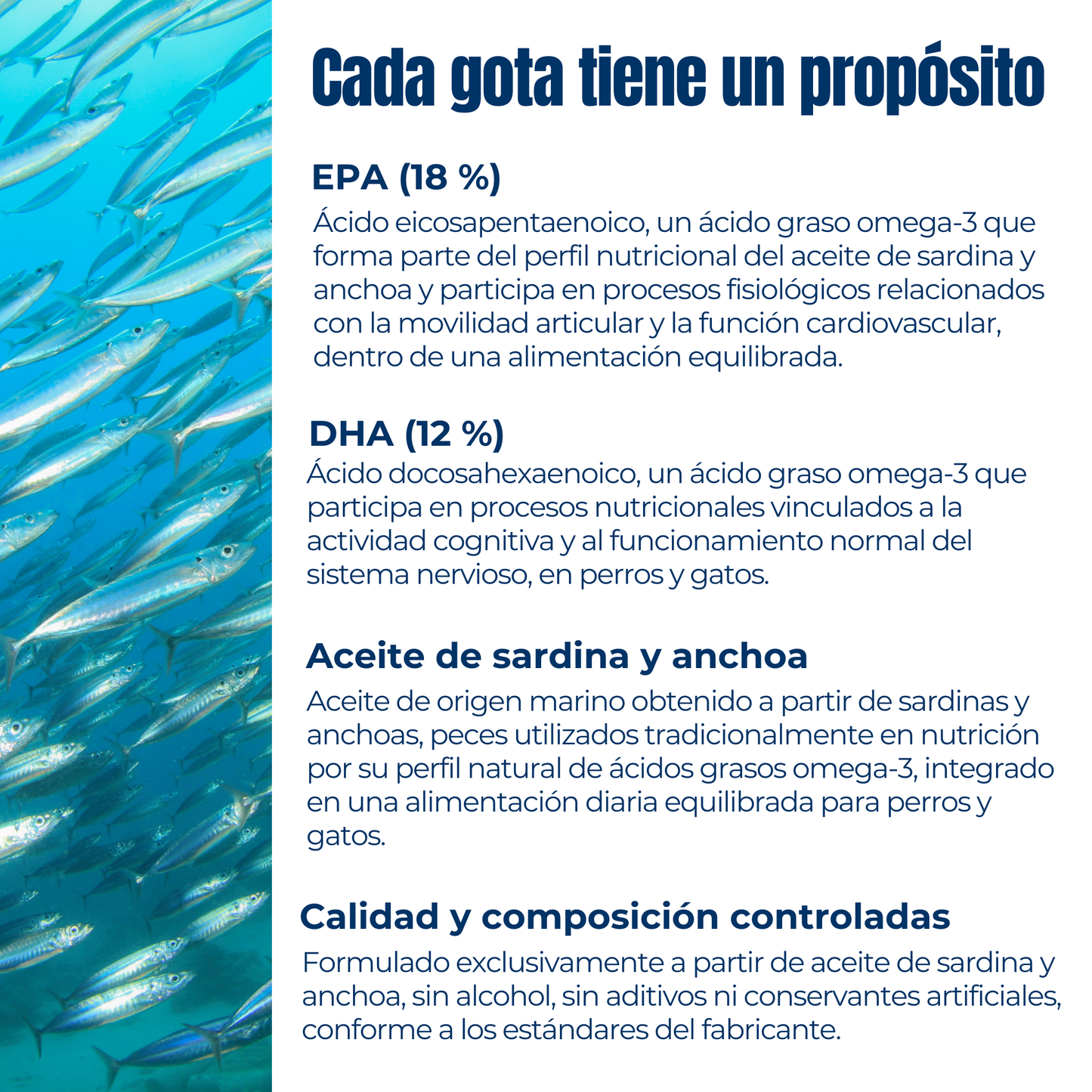 Aceite natural rico en Omega-3 para la piel y el pelaje de perros y gatos – Sardina y anchoa – 200 ml_2