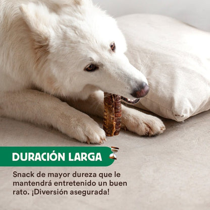 Brinquedo Mastigável Wild Balance Natural Beef Trachea 100g