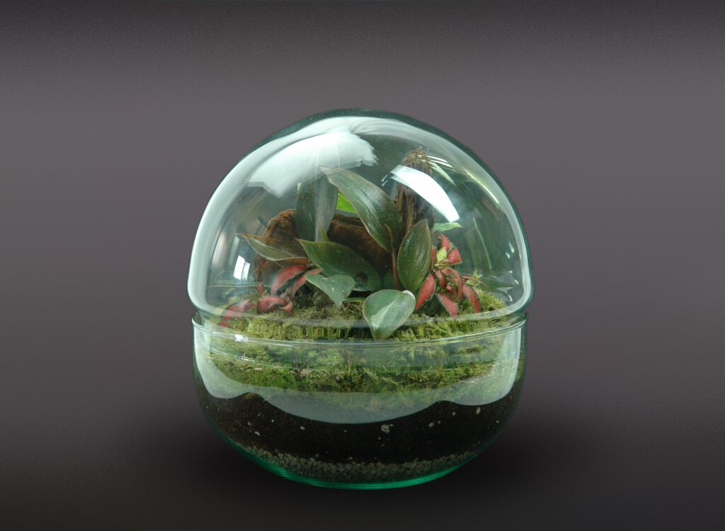 Nanogarden Terrario Ball Princess 20x20cm_0