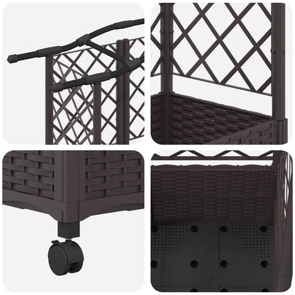 Cama Elevada Con Trellis Y Techo Marrón 122 X 40 X 144 Cm Pp_5