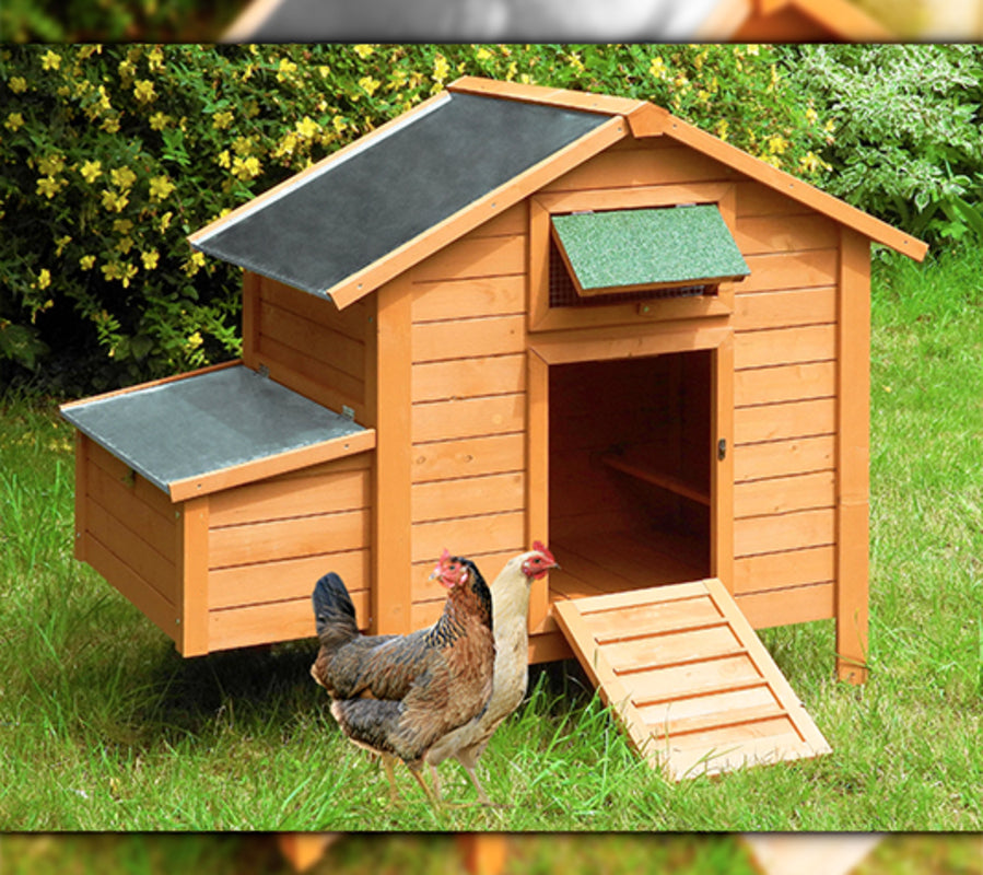 Gallinero Island Premium Para 6-8 Gallinas - Nido Con Dos Compartimentos Y Acceso Desde El Exterior_1