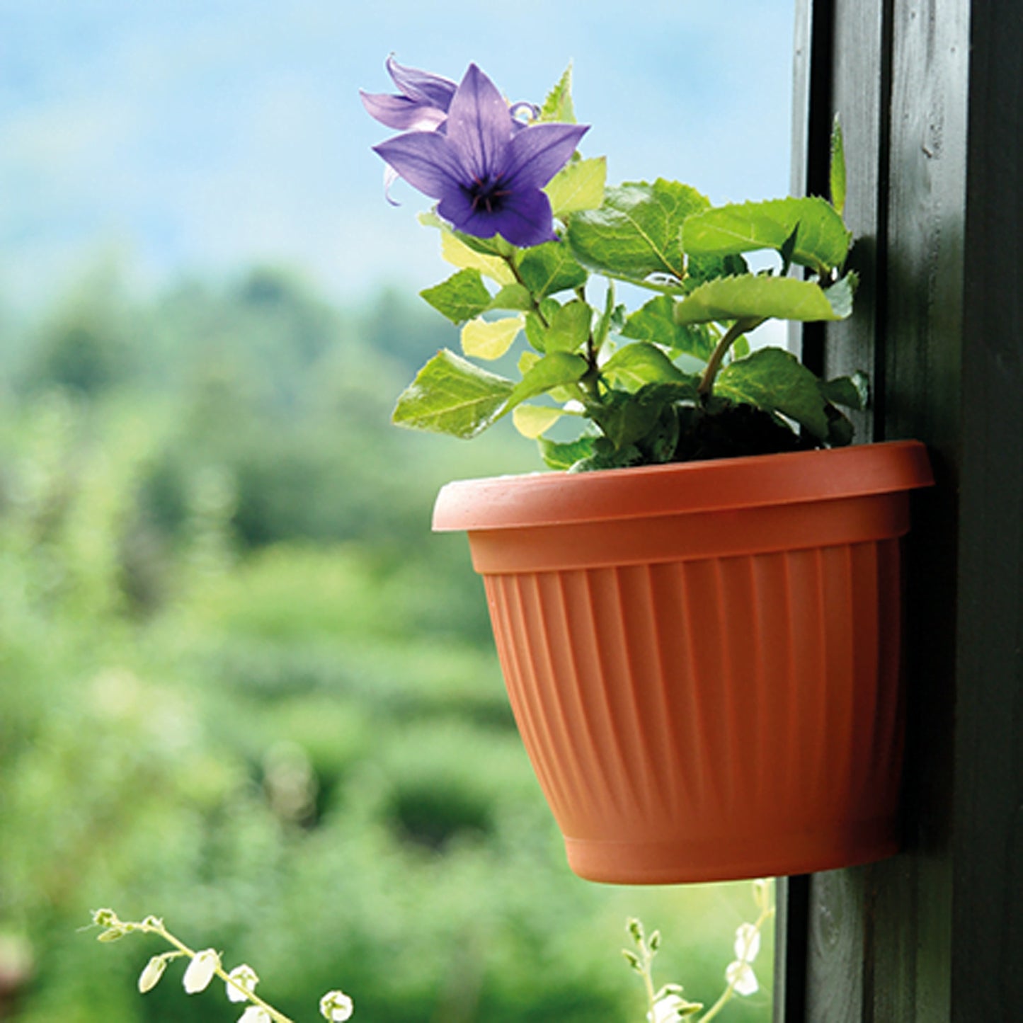 Maceta Zed Terra 2,8l., Dimensiones (mm) 220x220x160, Color Terracota