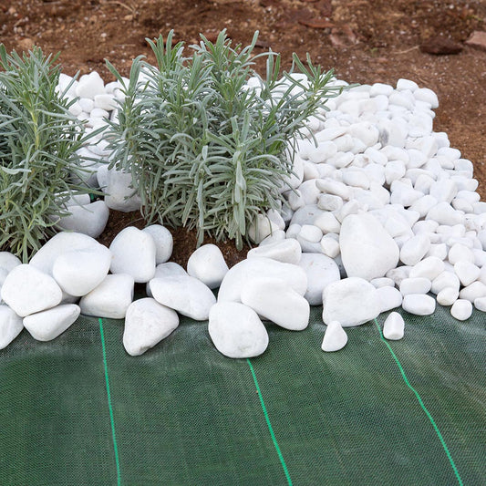 Stop-grass: Malla Antihierbas Para Un Jardín Perfecto 1,25x25 M / Multicolor_0