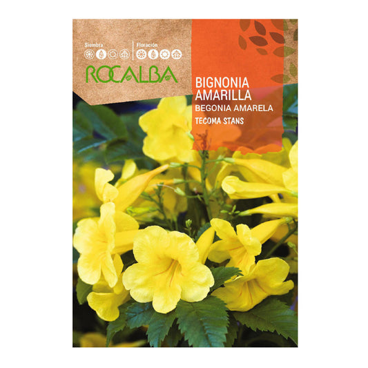 Sementes de Bignonia Amarela, Rocalba