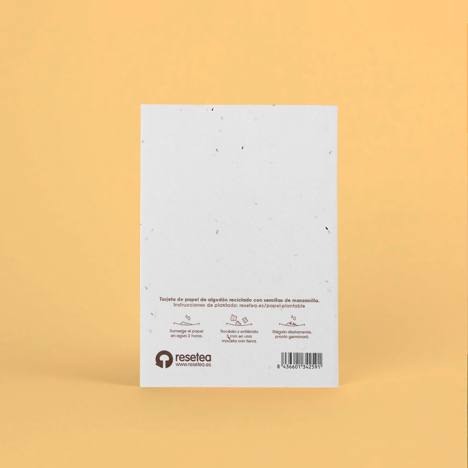 Postal Plantable "Love Is In The Earth" con Semillas de Manzanilla – Regalo Romántico - Resetea_1