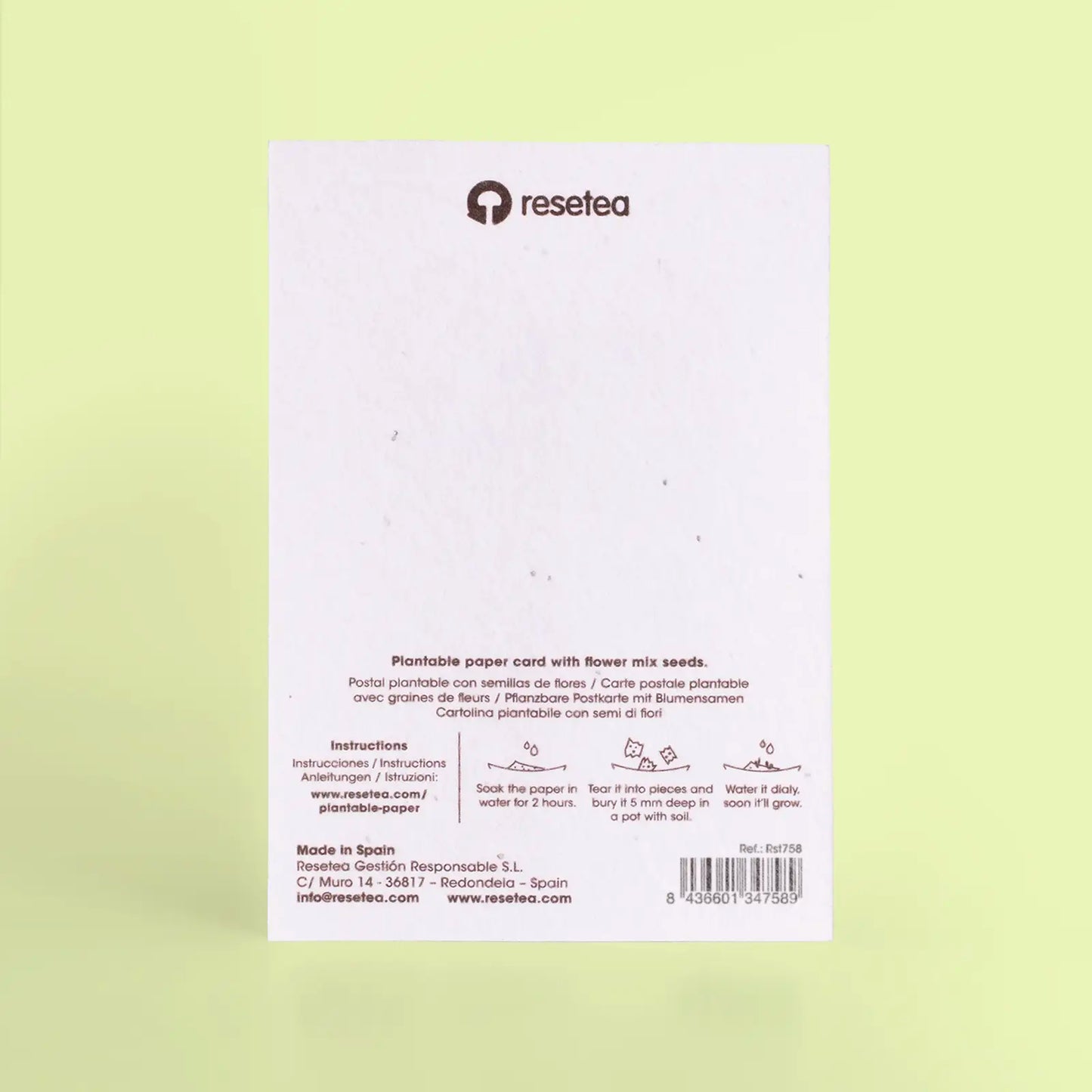 Postal Plantable - Picnic_1