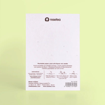 Postal Plantable - Picnic_1