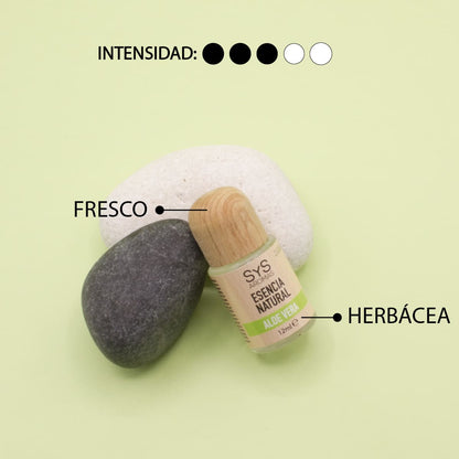 Esencia Aromática Aloe Vera 12 ml | Aroma Fresco y Natural | Perfume Concentrado | Uso en Difusores_3