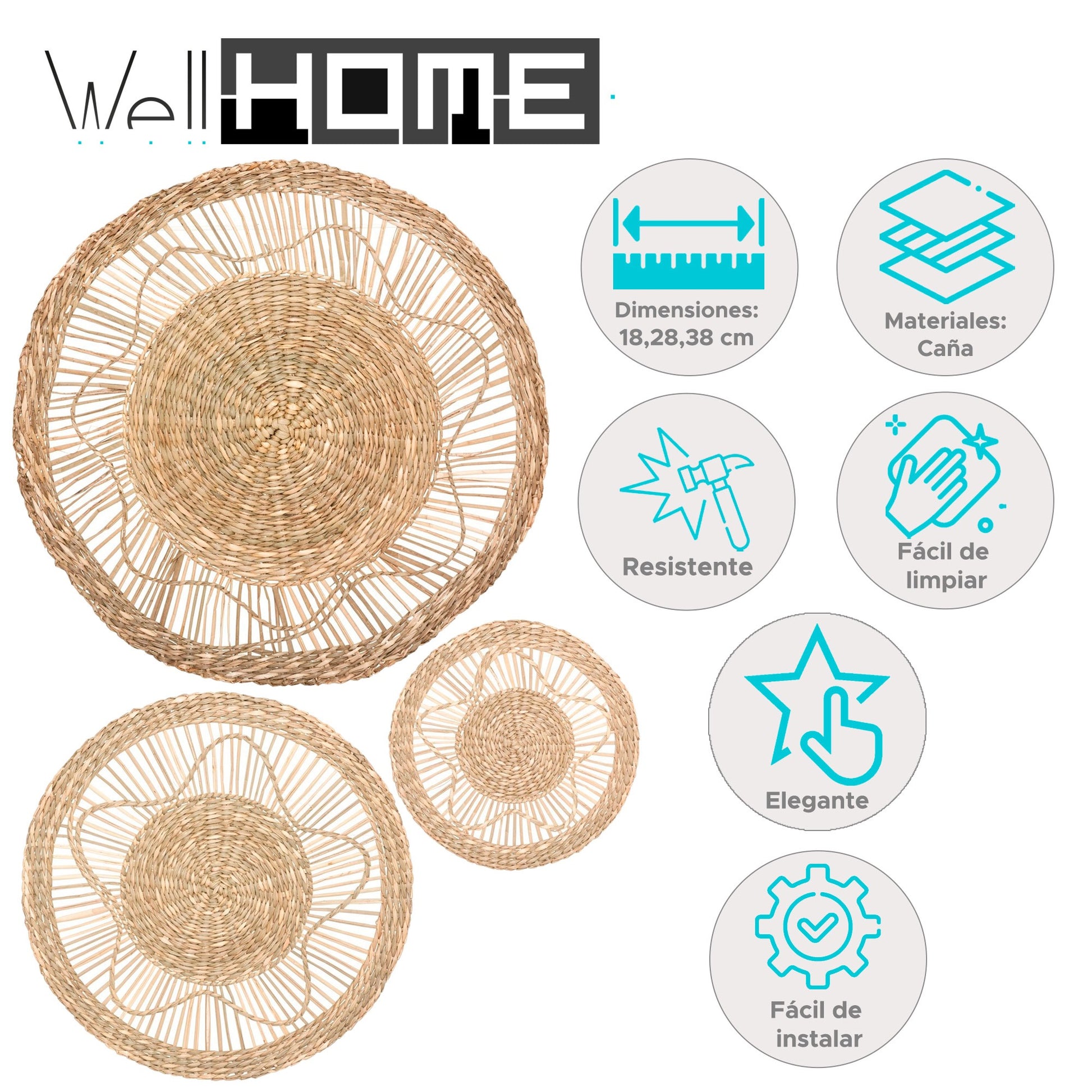 Well Home Decoración Mural 'seagrass' Ø18 Ø28 Ø38cm_1