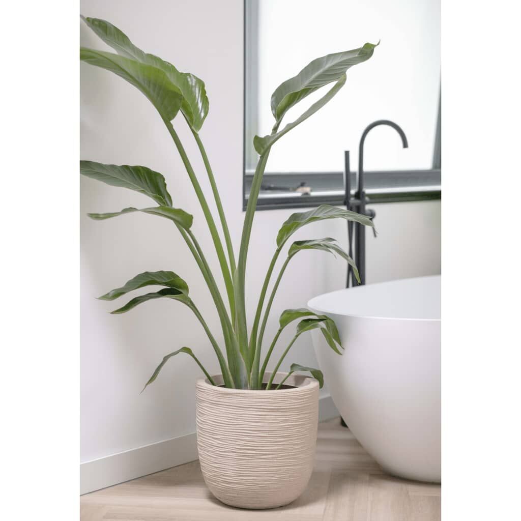 Capi Macetero Waste Rib Beige Terrazo 35x34 Cm_3