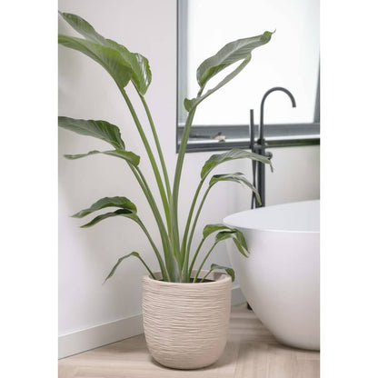 Capi Macetero Waste Rib Beige Terrazo 35x34 Cm_3