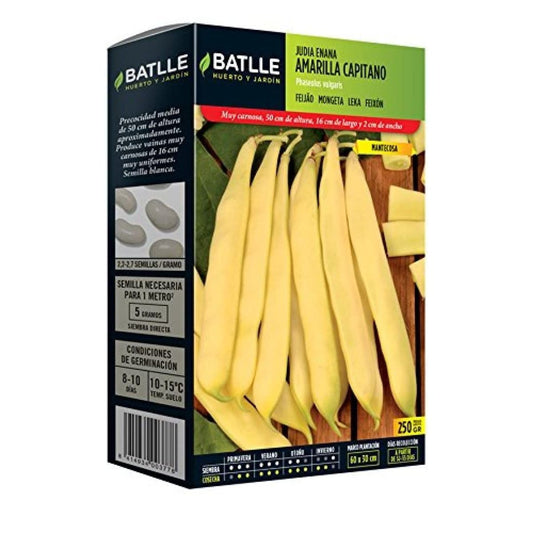 Sementes de feijão amarelo anão Capitão 250 gr.