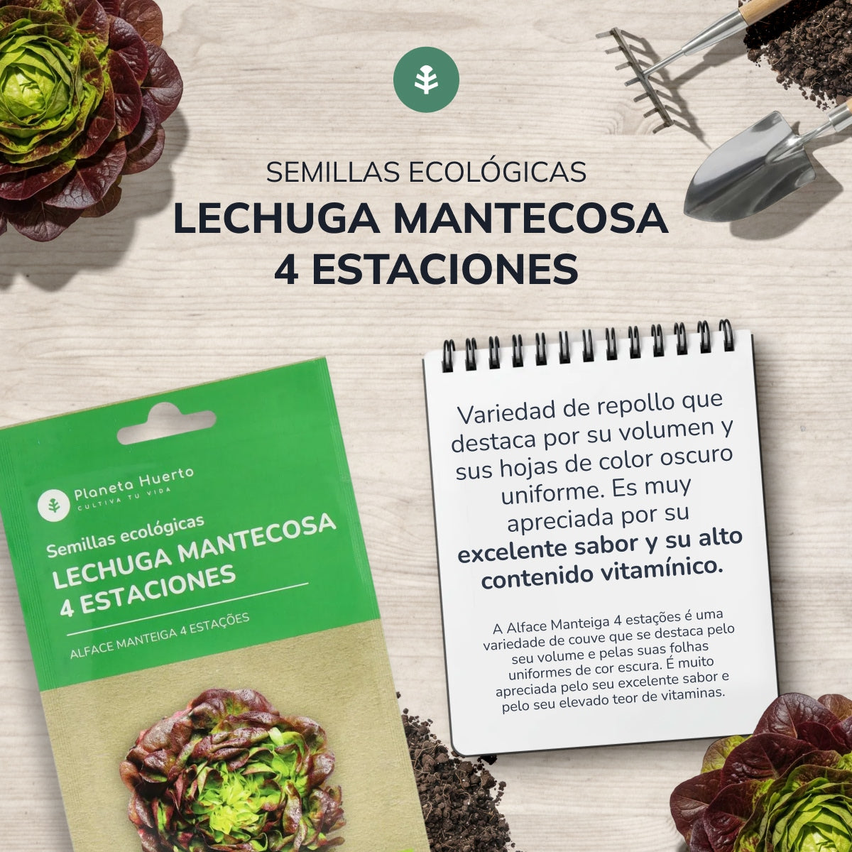 Sementes de alface butterhead orgânicas de 4 estações da Planeta Huerto