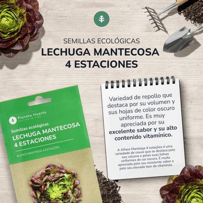 Sementes de alface butterhead orgânicas de 4 estações da Planeta Huerto