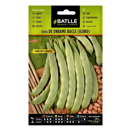 Sementes de Feijão Iluro 100 g