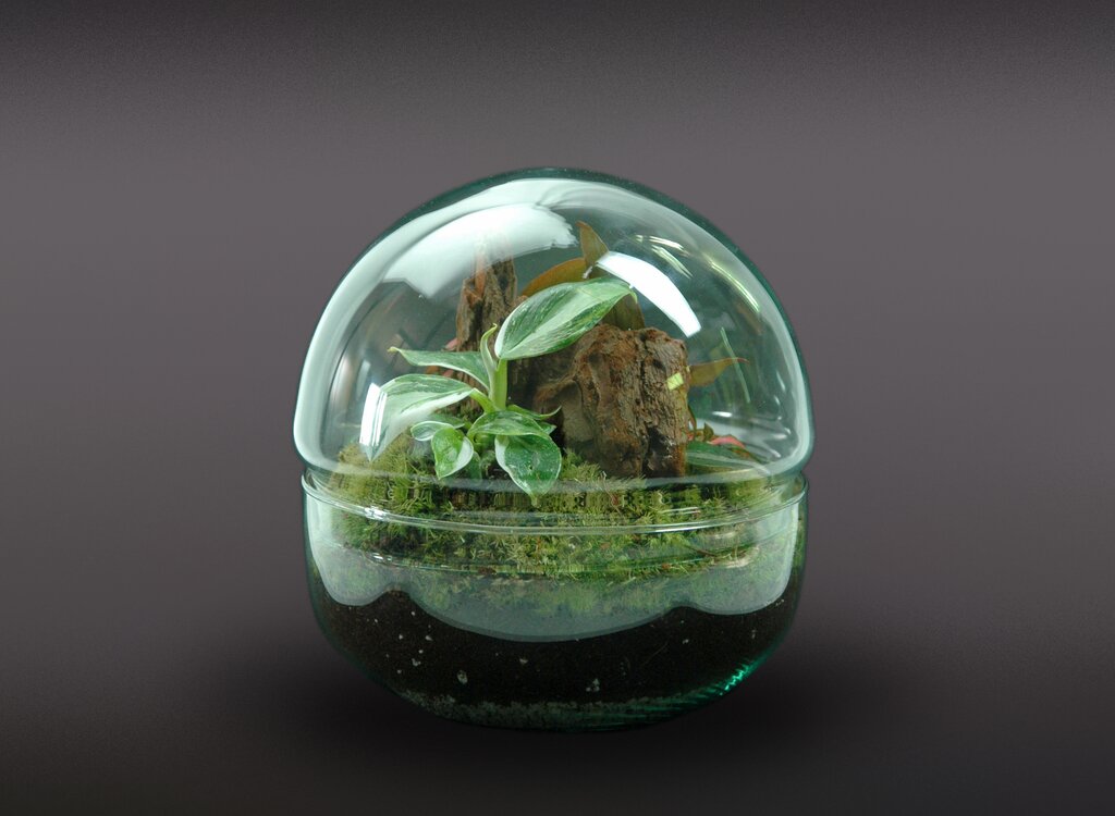 Nanogarden Terrario Ball Princess 20x20cm_1