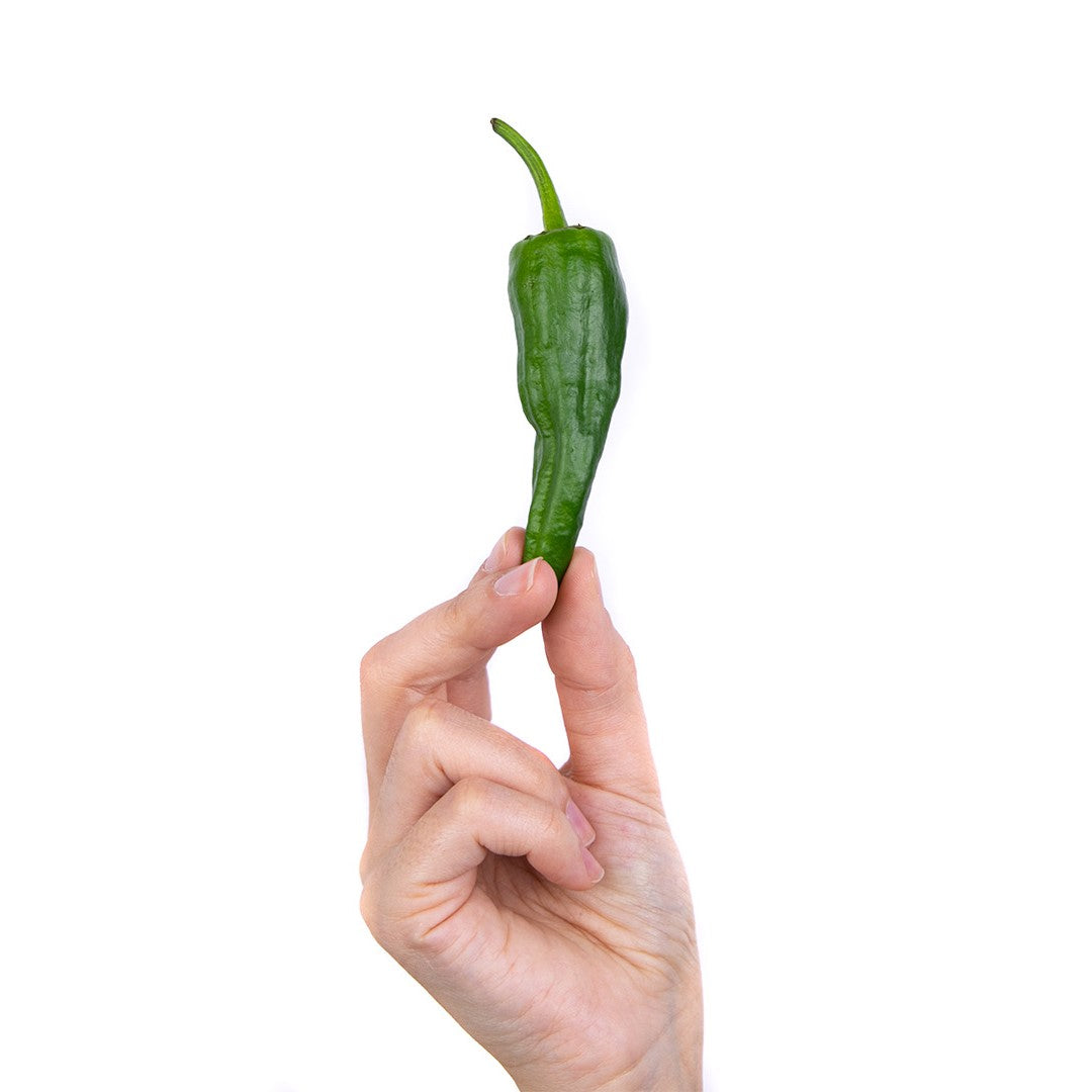 Pimiento Padrón 0.5kg,  Origen España, Granada La Palma_5