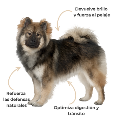 Levadura de cerveza ECO para perros y gatos – Piel y pelaje – 100 g_4