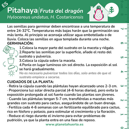 Kit de autocultivo de fruta do dragão Pitahaya Planeta Huerto
