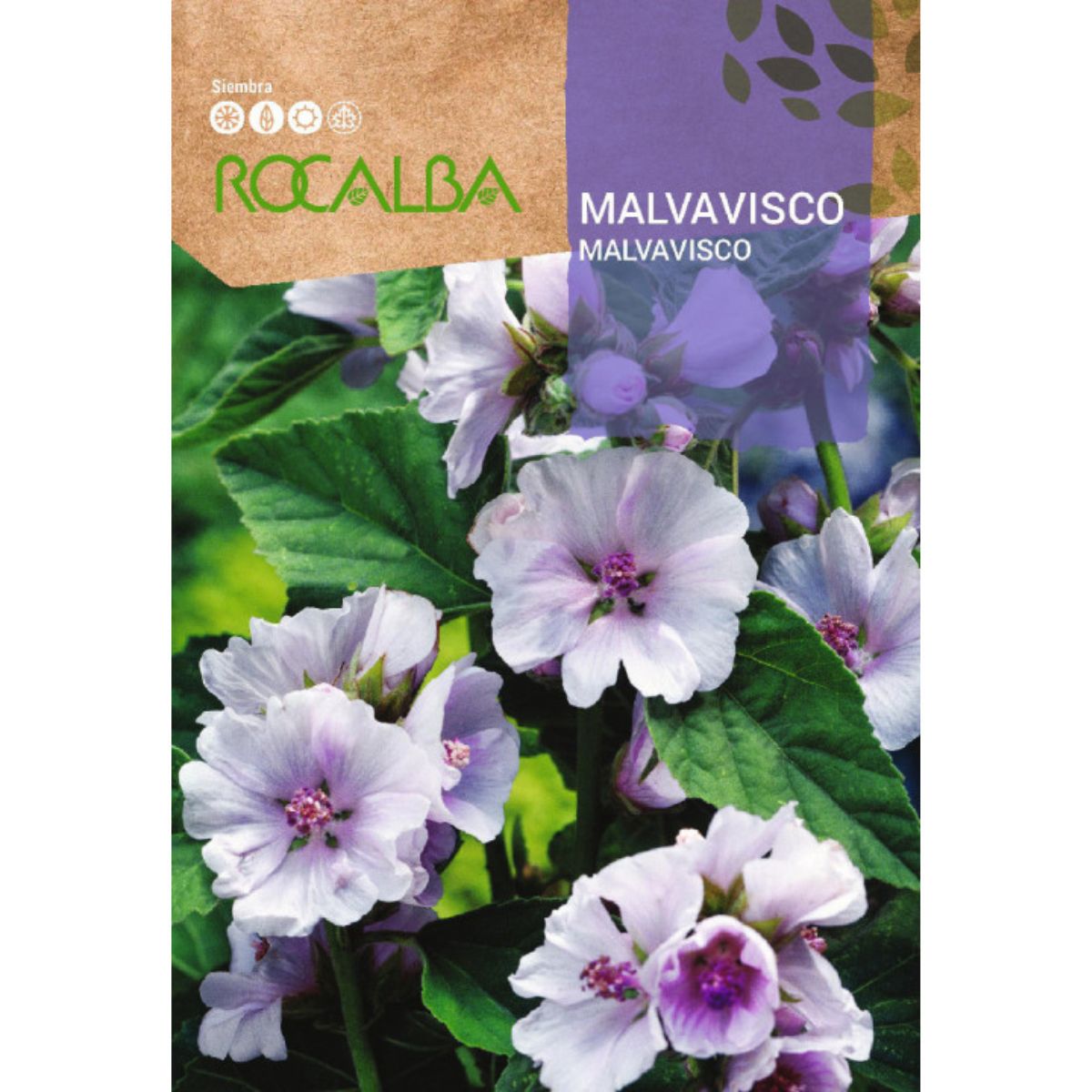 Sementes de Marshmallow