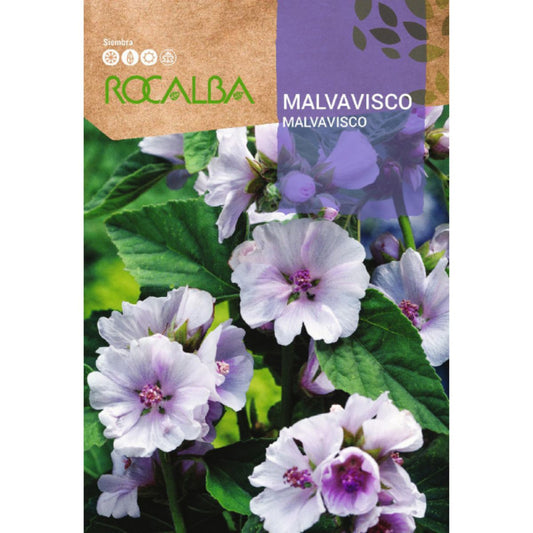 Sementes de Marshmallow