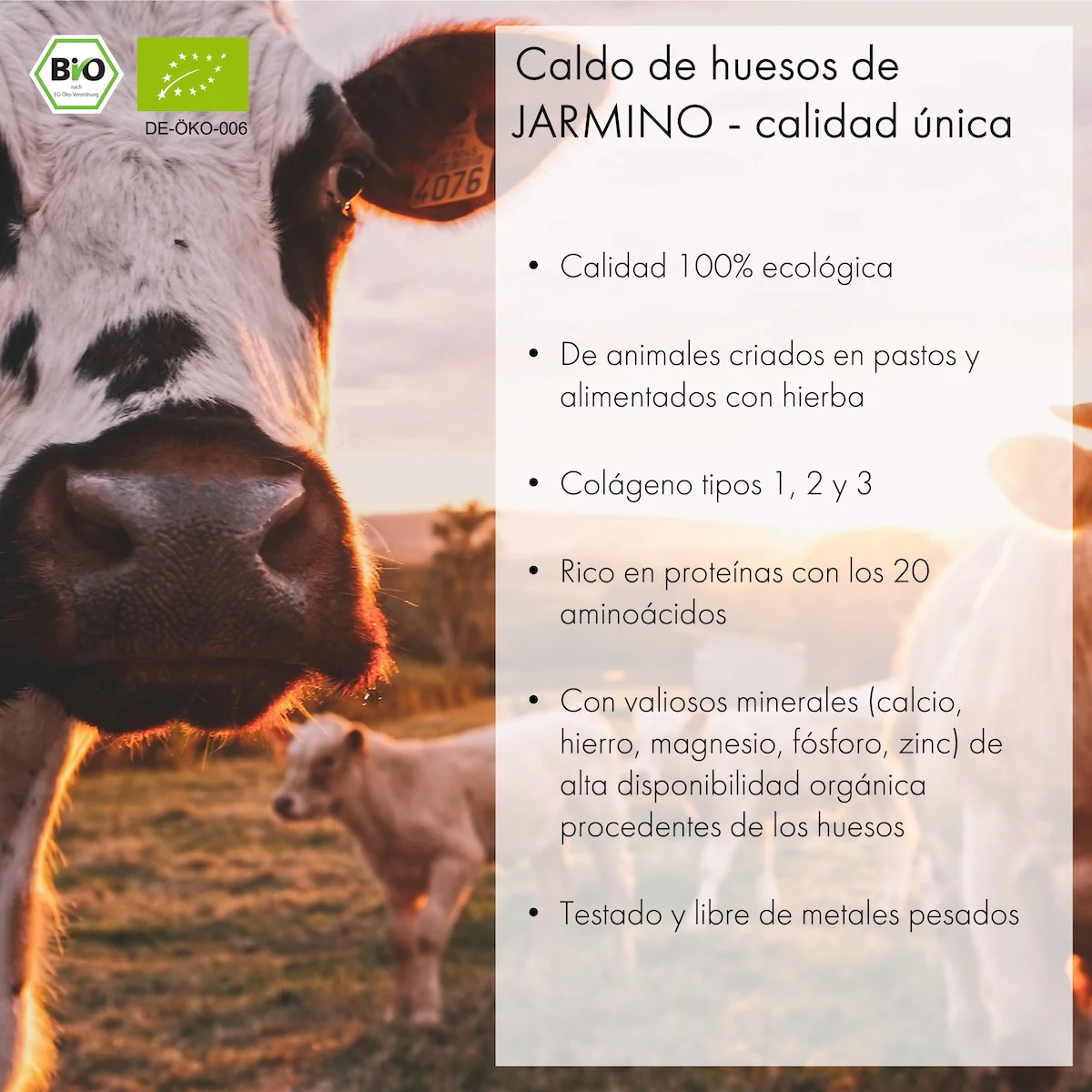 Caldo de Ossos Bovino Jarmino 350ml