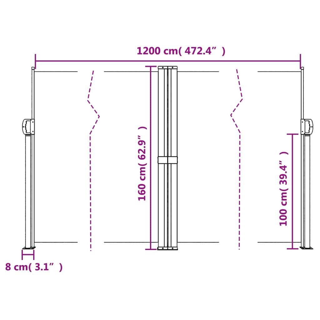 Vidaxl Toldo Lateral Retráctil Verde Oscuro 160x1200 Cm_2