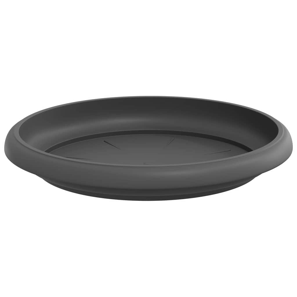 Bandeja Redonda Para Flores 24 Uds. Negro Ø 15,5 X 2 Cm_4