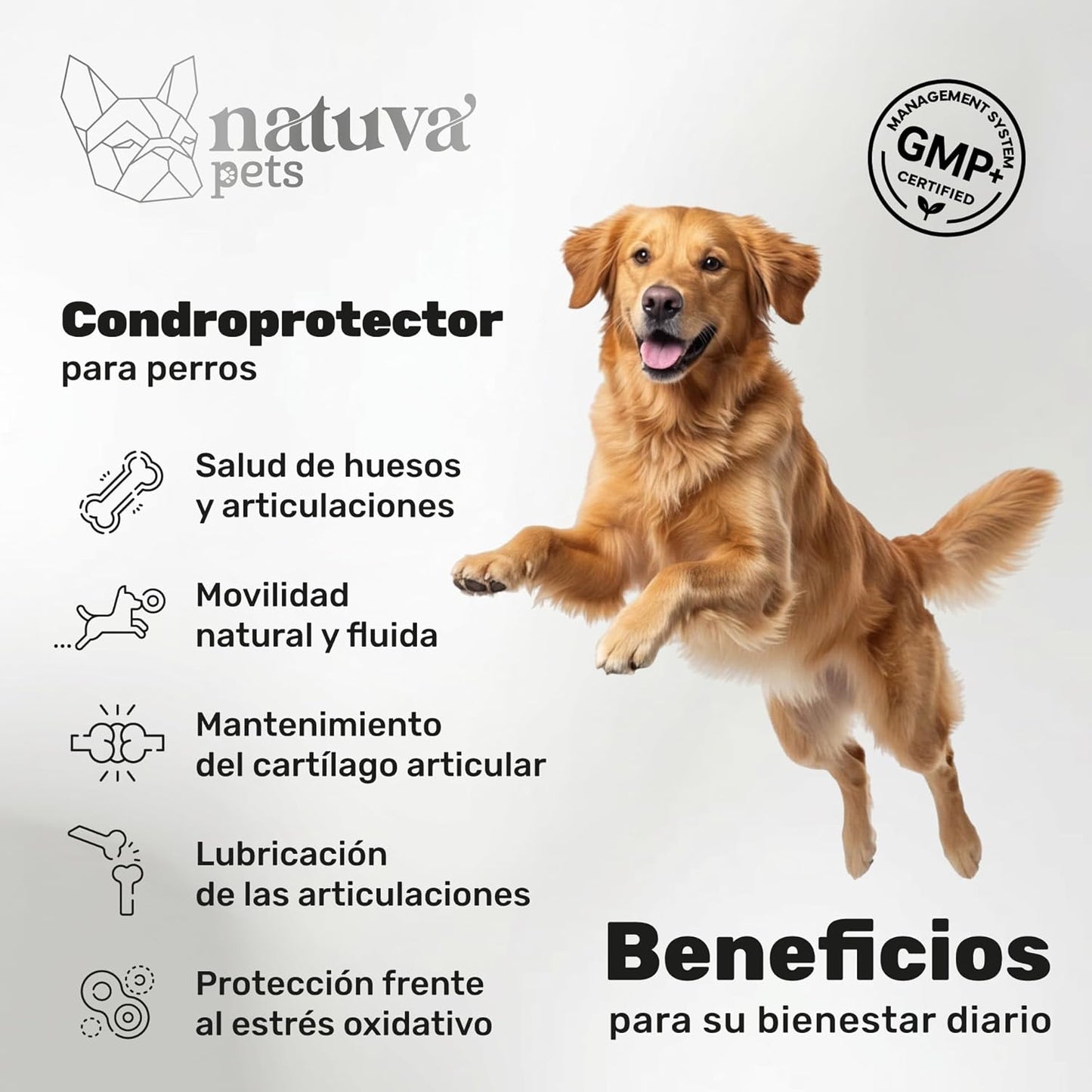 Condroprotector Para Perros. Movilidad Y Articulaciones. Suplemento Para Mascotas. 120 Masticables. Natuva Pets_1