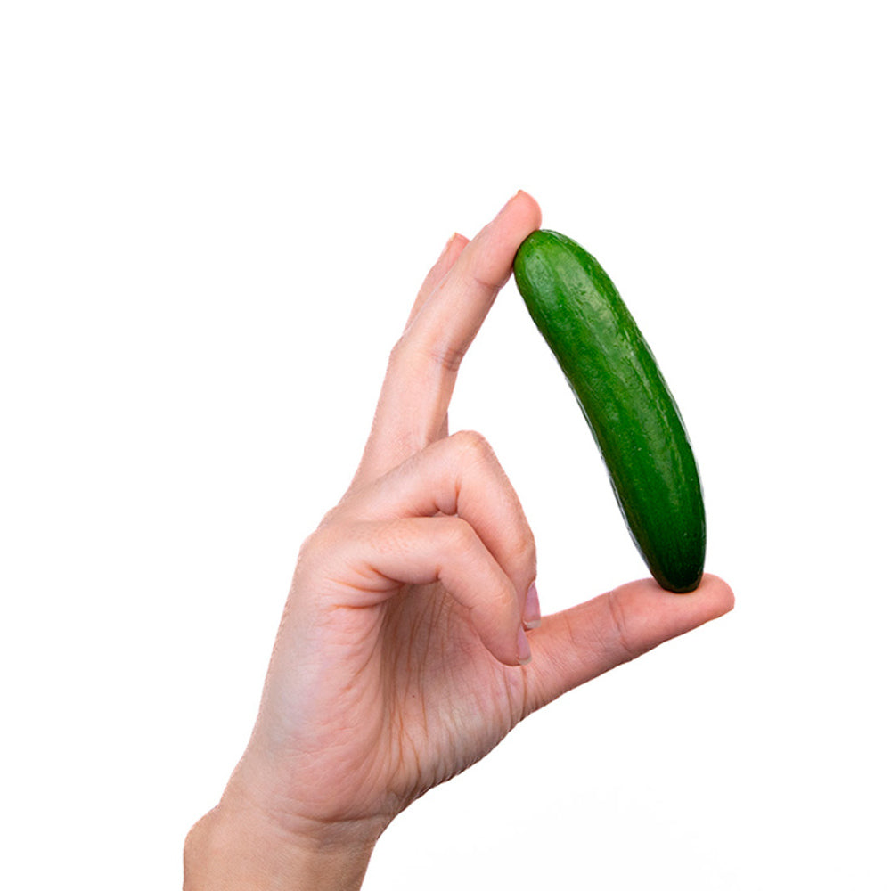 Pepino Mini 3kg Granada La Palma_4