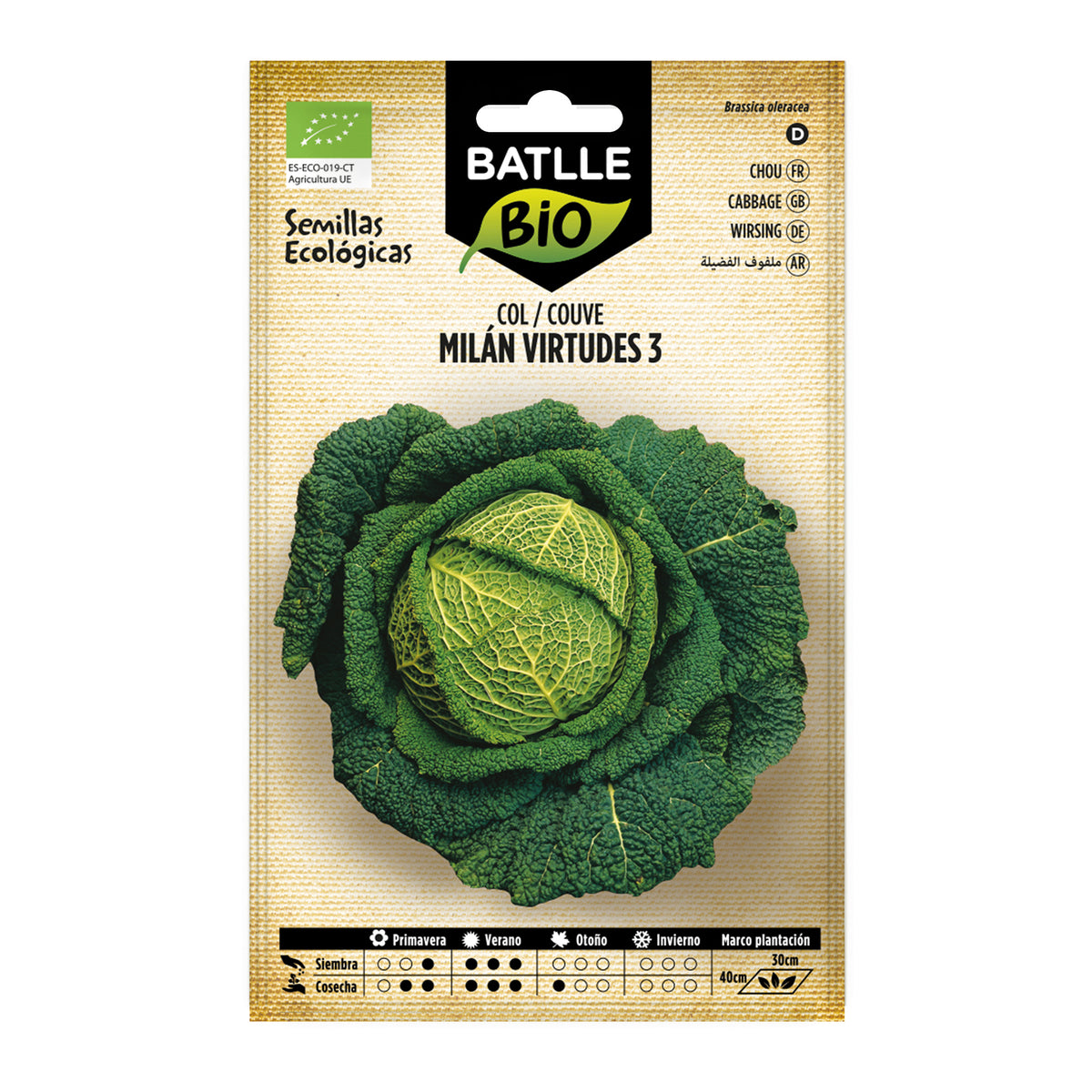 Sementes de couve milanesa biológica Batlle com 3 virtudes