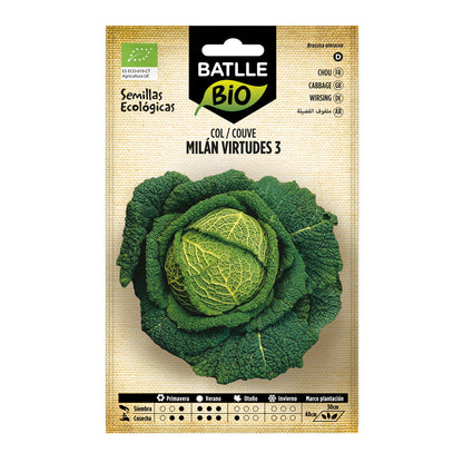 Sementes de couve milanesa biológica Batlle com 3 virtudes