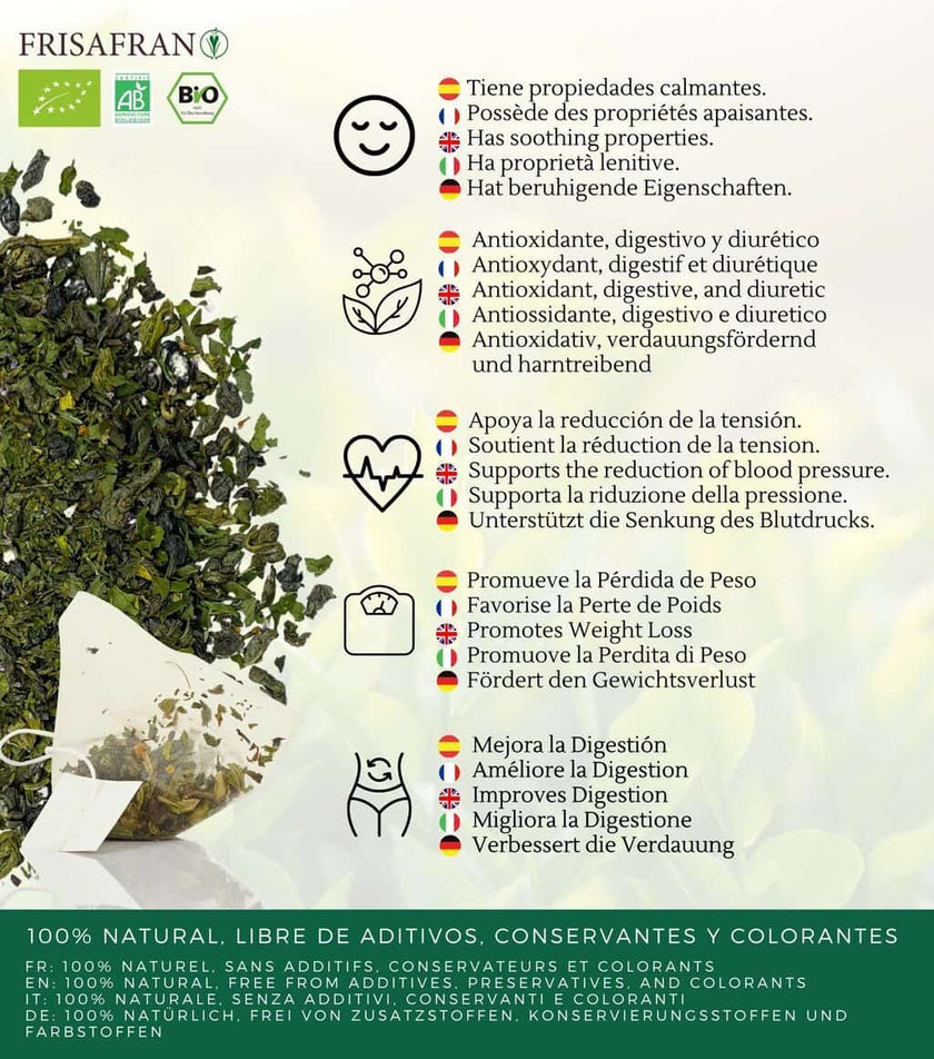 Té Verde Gunpowder Menta Ecológico Pirámides - Calidad Y Sabor | Frisafran 60 Uds_3