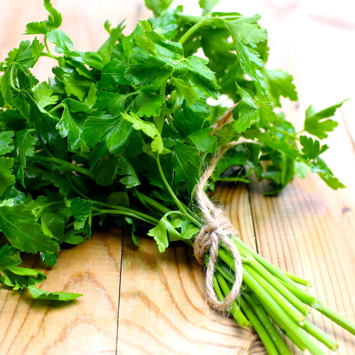 Kit De Cultivo De Perejil Grow Me – Huerto Urbano Ecológico_1