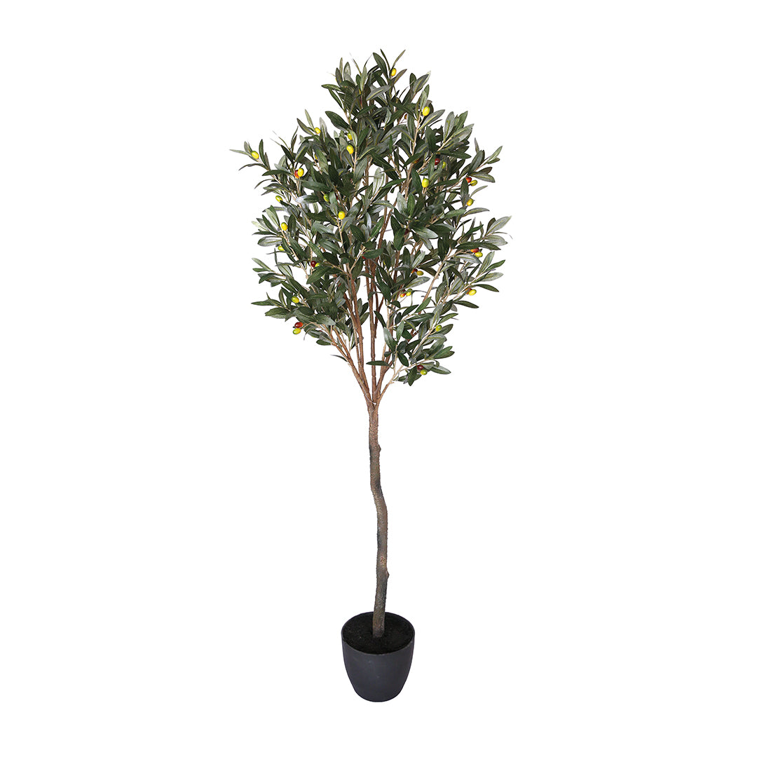 Planta Artificial Olivo - Realismo Y Estilo 1.5 M / Multicolor_1
