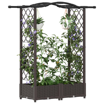 Cama Elevada Con Trellis Y Techo Marrón 124 X 40 X 123 Cm Pp_2