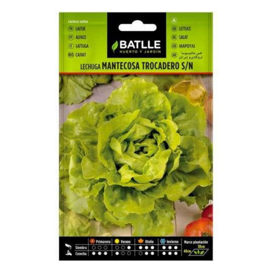 Sementes de alface Trocadero Batlle