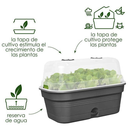 Plantador de cultivo ALLIN1 Green Basics Elho 39 cm L