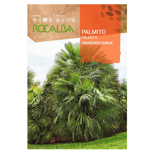 Sementes de palmito, Rocalba