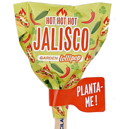 Sementes de chupa-chupa de jardim Jalisco