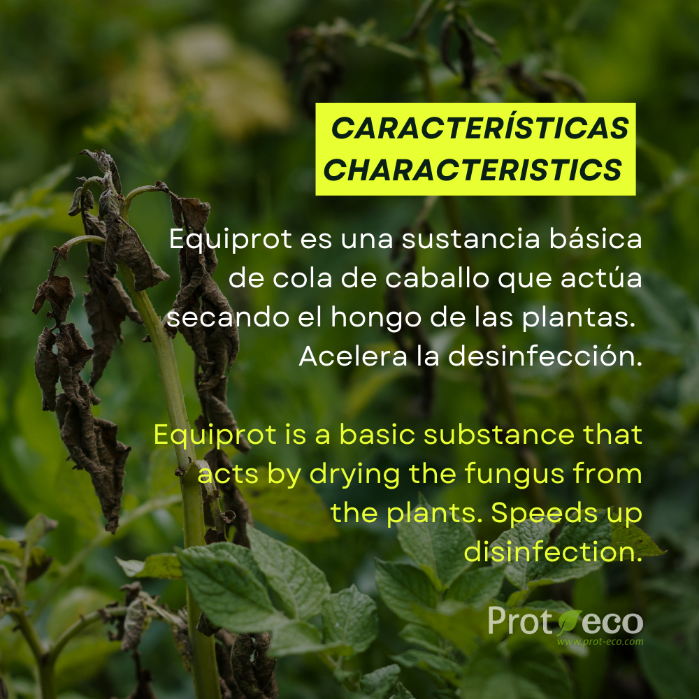 Fortificante ecológico de cola de caballo para plantas Equiprot Prot-Eco (250 ml)+pipeta dosificadora 5ml gratis_3
