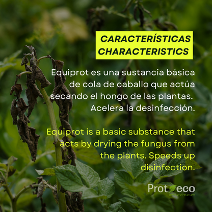 Fortificante ecológico de cola de caballo para plantas Equiprot Prot-Eco (100 ml)+pipeta dosificadora 5ml gratis_3