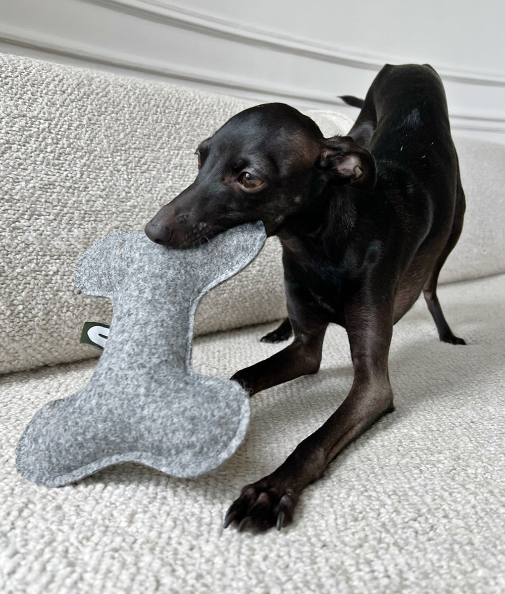 Cafide Juguete De Material Reciclado Para Perro Gris. Modelo Play._1