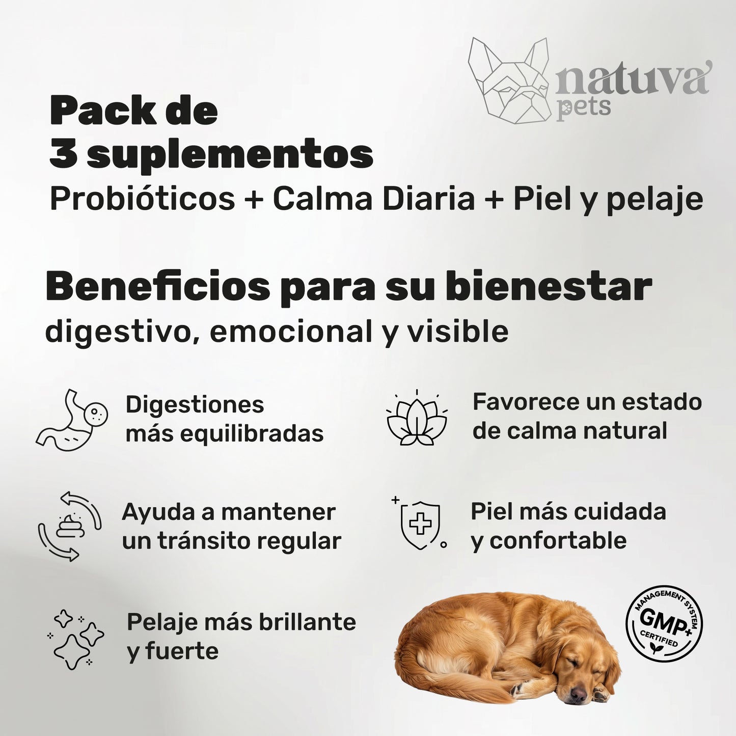 Pack Probiótico + Calmante + Aceite De Salmón Para Perros. Suplementos Mascotas. 360 Masticables. Natuva Pets_1