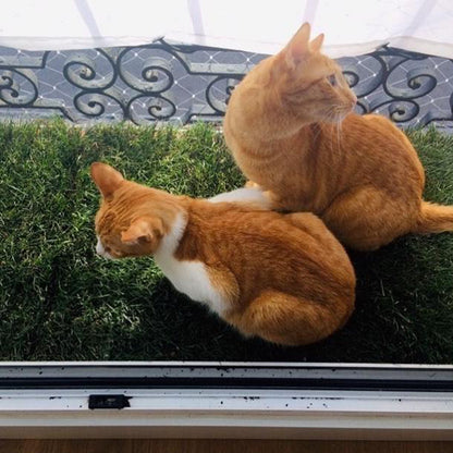 Petground Recambio XL, Cama Para Mascotas, Empapador, Alfombra Olfativa, Césped Natural_5