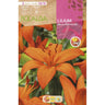 Bulbo asiático de Lilium vermelho 2 unidades Rocalba
