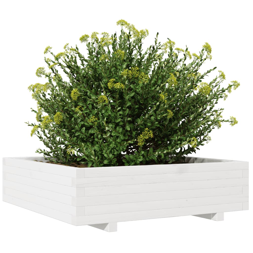Jardinera De Madera Maciza De Pino Blanco 90x90x26,5 Cm_3