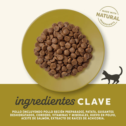 Applaws Cat Dry Frango e Cordeiro 2 kg Alimento natural para gatos sem cereais