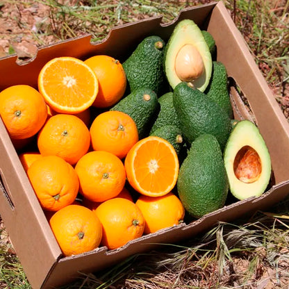 Caja 4kg Pack Aguacates Y Naranjas Del Campo Tropitop_1